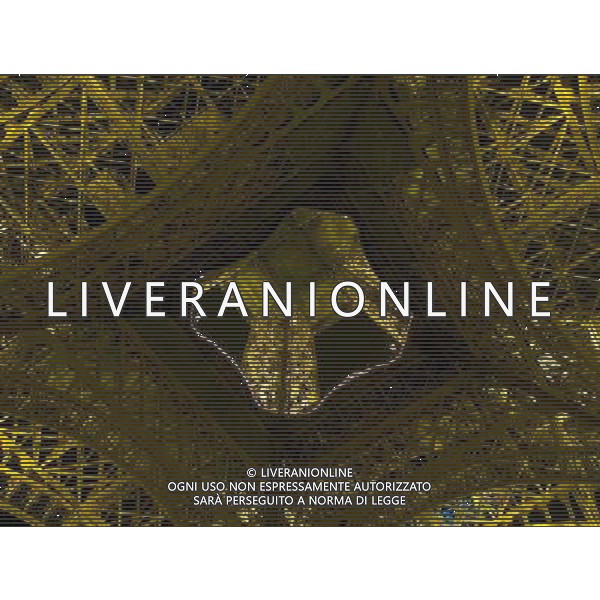 PARIGI 2005 NELLA FOTO LA TORRE EIFFEL NOTTURNA AGENZIA ALDO LIVERANI