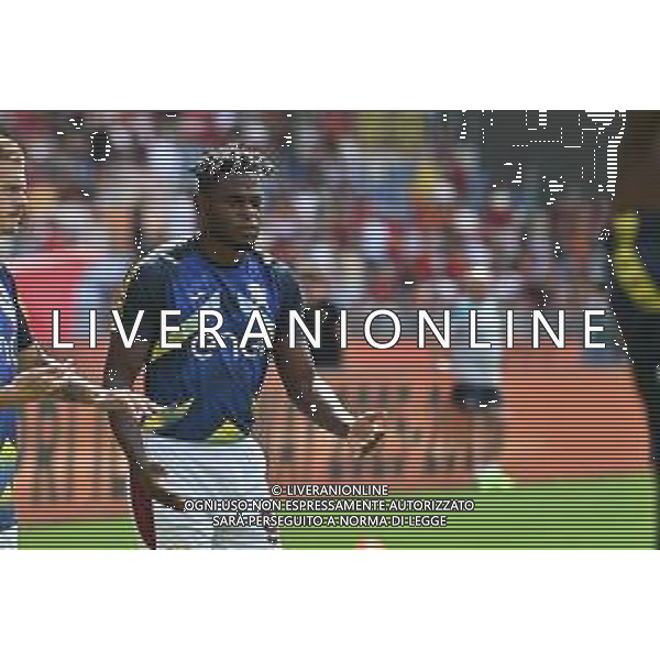 Serie A Enilive 2025/2026 Roma vs Torino Stadio Olimpico Nella foto: Duvan Zapata Foto Andrea Rosito - Agenzia Liverani- AGENZIA ALDO LIVERANI SAS