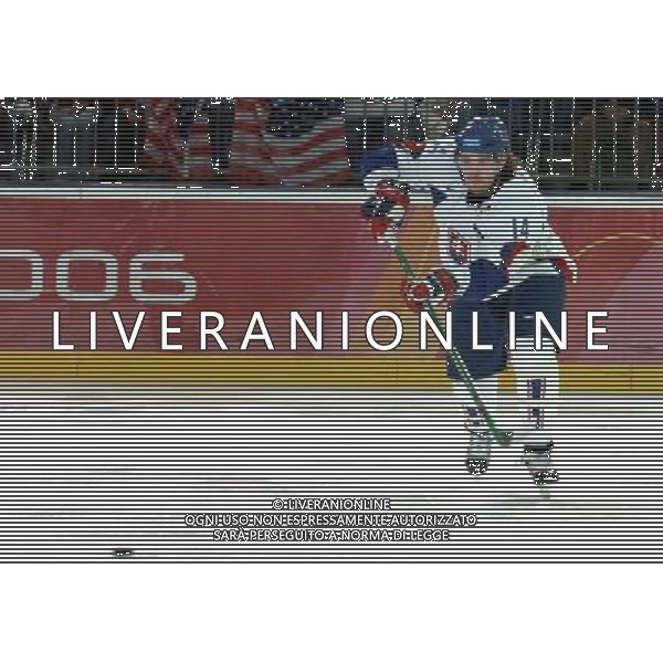 TORINO 18/02/2006 XX OLIMPIADI INVERNALI HOCKEY SU GHIACCIO MASCHILE USA-REBUBBLICA CECA NELLA FOTO MESZAROS ANDREJ PH GIGI ARCAINI/AG.ALDO LIVERANI