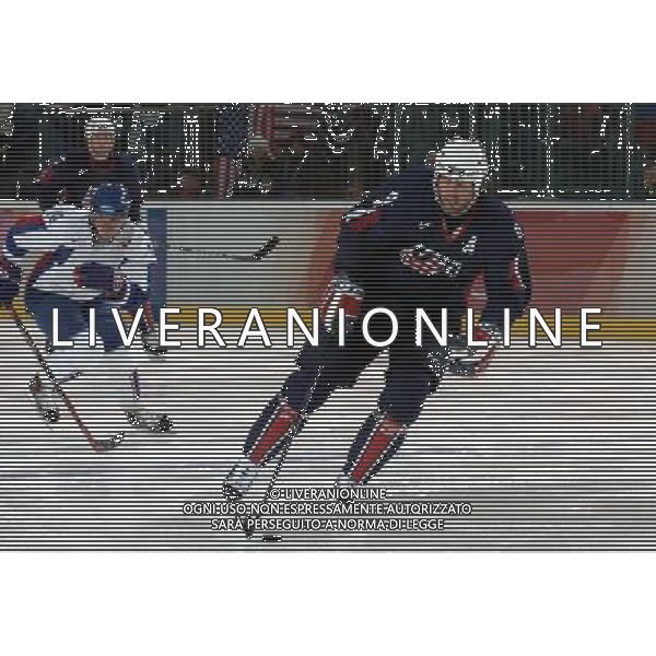 TORINO 18/02/2006 XX OLIMPIADI INVERNALI HOCKEY SU GHIACCIO MASCHILE USA-REBUBBLICA CECA NELLA FOTO MODANO MIKE PH GIGI ARCAINI/AG.ALDO LIVERANI