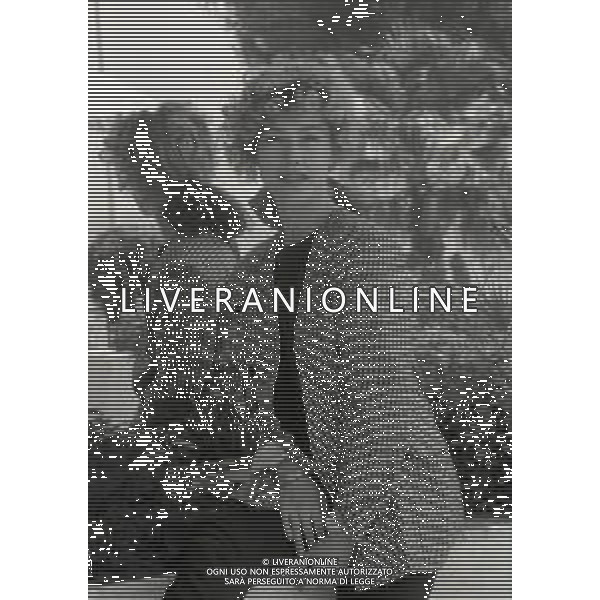 NEG-RETROSPETTIVA NANCY BRILLI ATTRICE NELLA FOTO NANCY BRILLI A CANNES NELL\'ANNO 1989 AG ALDO LIVERANI SAS 