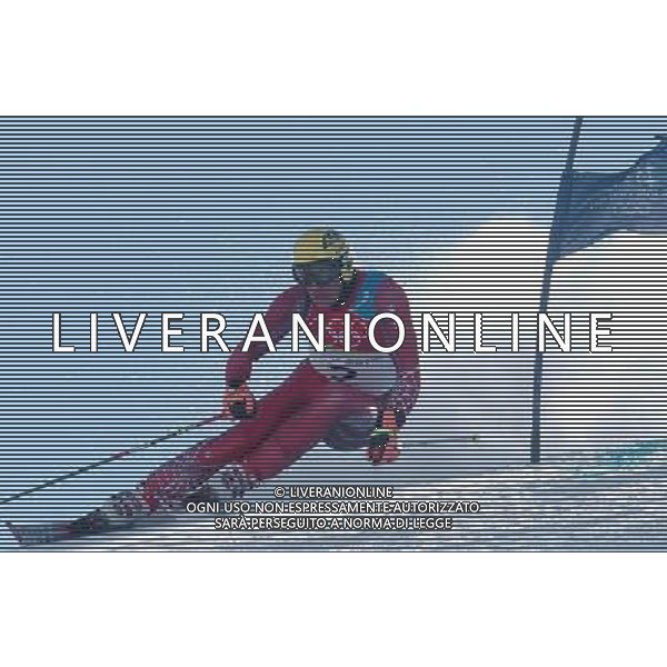 SESTRIERE (TO) 20/02/2006XX OLIMPIADI INVERNALI SLALOM GIGANTE MASCHILE NELLA FOTO MAIER HERMANN PH GIGI ARCAINI/AG.ALDO LIVERANI