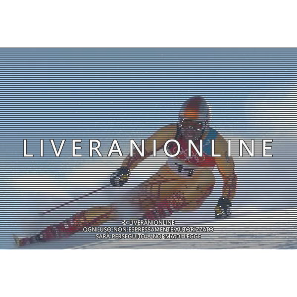 SESTRIERE (TO) 20/02/2006XX OLIMPIADI INVERNALI SLALOM GIGANTE MASCHILE NELLA FOTO BOURQUE FRANCOIS PH GIGI ARCAINI/AG.ALDO LIVERANI
