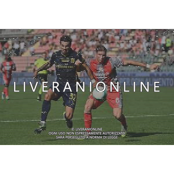 TVRG Cremonese vs Parma nella foto Patrick Cutrone (Parma) e Federico Baschirotto (Cremonese) Cremona 21-09-2025 Stadio Giovanni Zini Cremonese vs Parma Campionato Serie A Enilive - 4a giornata foto Roberto Garavaglia/Agenzia Aldo Liverani sas