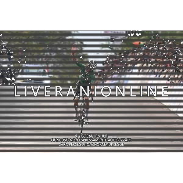 28-09-2025 World Championships Elite; 2025, Ef Education - Easypost; Healy, Ben; Kigali; ©SIROTTI - AGENZIA ALDO LIVERANI SAS