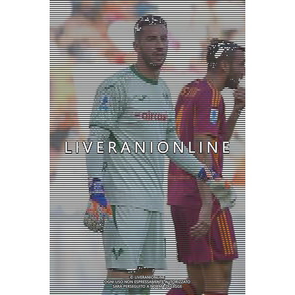 Roma vs Hellas Verona Campionato Serie A Enilive - 5 Giornata Stadio Olimpico - Roma 28-09-2025 nella foto Lorenzo Montipò Foto Federico Gaetano - ag Aldo liverani- AGENZIA ALDO LIVERANI SAS