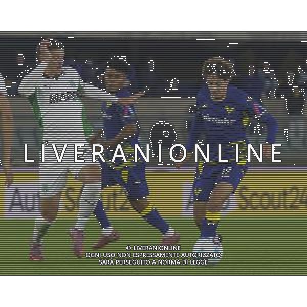 Domagoj Bradaric of Hellas Verona FC battle for the ball with Tarik Muharemovic of US Sassuolo during Hellas Verona FC vs US Sassuolo, 6° Serie A Enilive 2025-26 game at Marcantonio Bentegodi stadium in Verona (VR), Italy, on October 03, 2025. (Photo by Davide Casentini)- AGENZIA ALDO LIVERANI SAS