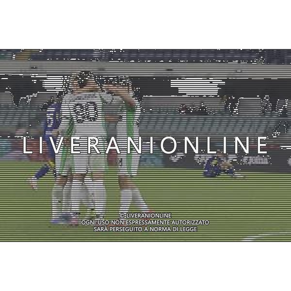 Sassuolo players celebrate the victory at the end of Hellas Verona FC vs US Sassuolo, 6° Serie A Enilive 2025-26 game at Marcantonio Bentegodi stadium in Verona (VR), Italy, on October 03, 2025. (Photo by Davide Casentini)- AGENZIA ALDO LIVERANI SAS