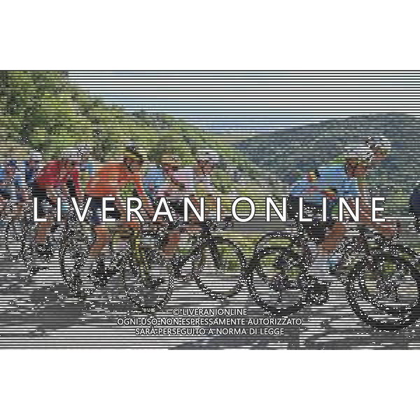 05-10-2025 European Championships Elite; 2025, Uae Team Emirates - Xrg; Pogacar, Tadej; Saint Romain De Lerps; ©SIROTTI - AGENZIA ALDO LIVERANI SAS