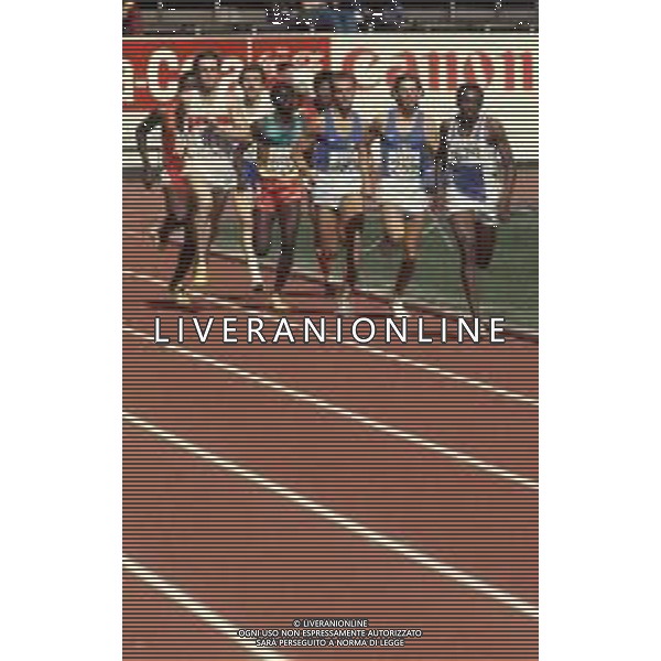 DIAP-RETROSPETTIVA DONATO SABIA ATLETA NELLA FOTO DONATO SABIA NELL\'ANNO 1983 AG ALDO LIVERANI SAS