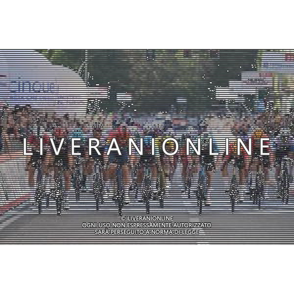 07-10-2025 Tre Valli Varesine; 2025, Lidl - Trek; 2025, Tudor; Philipsen, Albert Withen; Alaphilippe, Julian; Varese; ©SIROTTI - AGENZIA ALDO LIVERANI SAS