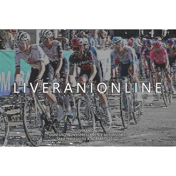 07-10-2025 Tre Valli Varesine; 2025, Uae Team Emirates - Xrg; 2025, Tudor; Pogacar, Tadej; Alaphilippe, Julian; Varese; ©SIROTTI - AGENZIA ALDO LIVERANI SAS