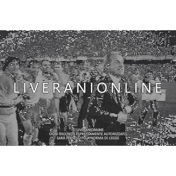 NEG- RETROSPETTIVA GIOVANNI TRAPATTONI ALLENATORE JUVENTUS NELLA FOTO ESULTANZA DI GIOVANNI TRAPATTONI A FINE GARA con Marco Tardelli e Antonio Cabrini - Finale Coppa delle Coppe Juventus - Porto a Basilea 16 Maggio 1984 AG ALDO LIVERANI SAS