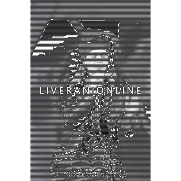 NEG-RETROSPETTIVA LENA LOVICH CANTANTE NELLA FOTO LENA LOVICH A SANREMO NELL\'ANNO 1982 AG ALDO LIVERANI SAS