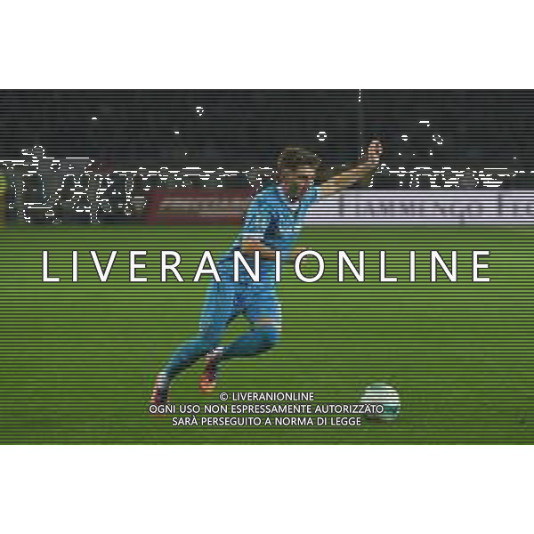 Torino 18.10.25 Stadio Grande Torino @Manuela Viganti/Ag. Aldo Liverani sas Torino vs Napoli Campionato Calcio Serie A Enilive 2025/2026 7a giornata Nella foto: billy gilmour