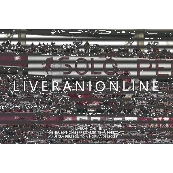 Torino 18.10.25 Stadio Grande Torino @Manuela Viganti/Ag. Aldo Liverani sas Torino vs Napoli Campionato Calcio Serie A Enilive 2025/2026 7a giornata Nella foto: tifosi torino