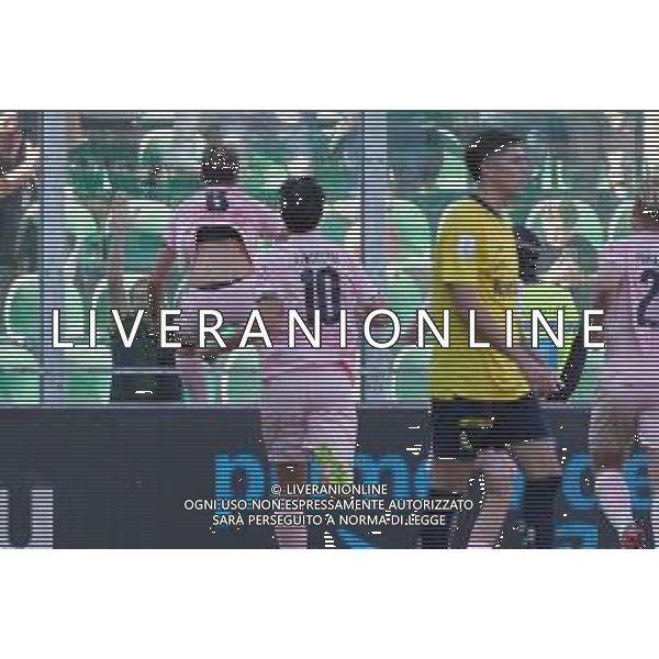Palermo, Italia, 19 ottobre 2025. Stadio Renzo Barbera, Palermo vs Modena, match valido per il campionato di Serie B 2025/2026. Nella foto: Esultanza Palermo per il gol di Jacopo Segre (Palermo FC) foto fedrico serra-ag aldo liverani sas