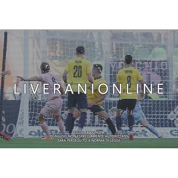 Palermo, Italia, 19 ottobre 2025. Stadio Renzo Barbera, Palermo vs Modena, match valido per il campionato di Serie B 2025/2026. Nella foto: gol di Jacopo Segre (Palermo FC) foto fedrico serra-ag aldo liverani sas