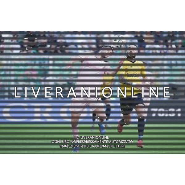 Palermo, Italia, 19 ottobre 2025. Stadio Renzo Barbera, Palermo vs Modena, match valido per il campionato di Serie B 2025/2026. Nella foto: Jeremy Le Douaron (Palermo FC) e Francesco Zampano (Modena) foto federico serra-ag aldo liverani sas