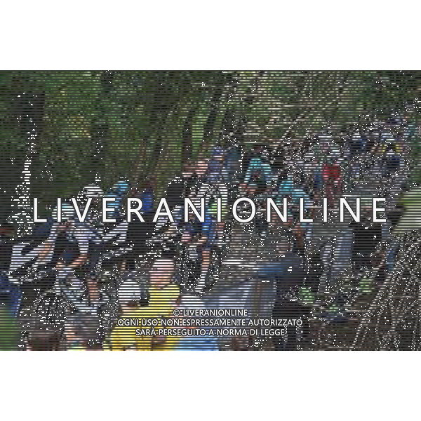 19-10-2025 Veneto Classic; 2025, Groupama - Fdj; Gregoire, Romain; Muro Della Tisa; ©SIROTTI - AGENZIA ALDO LIVERANI SAS