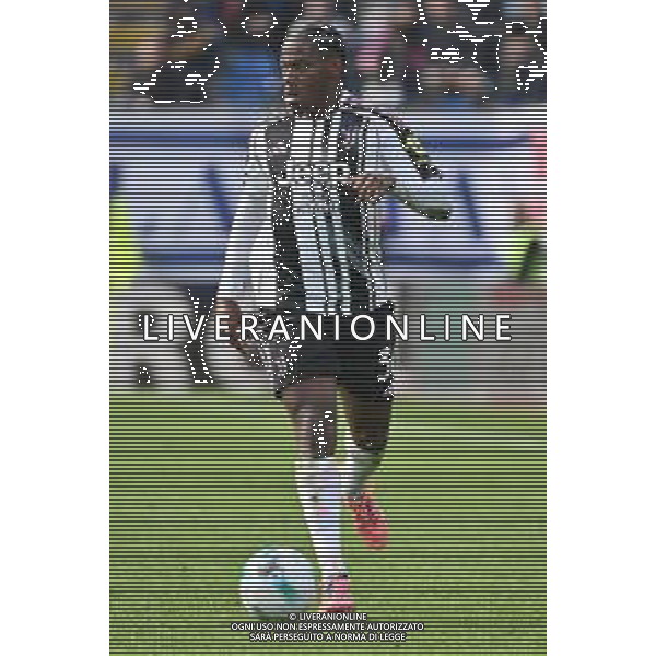 TVRG Como vs Juventus nella foto Jonathan David (Juventus) Como 19-10-2025 Stadio Giuseppe Sinigaglia Como vs Juventus Campionato Serie A Enilive - 7a giornata foto Roberto Garavaglia/Agenzia Aldo Liverani sas