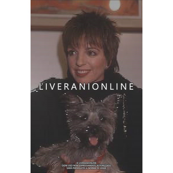 DIAP-RETROSPETTIVA LIZA MINELLI CANTANTE NELLA FOTO LIZA MINELLI A MILANO NELL\'ANNO 1989 AG ALDO LIVERANI SAS