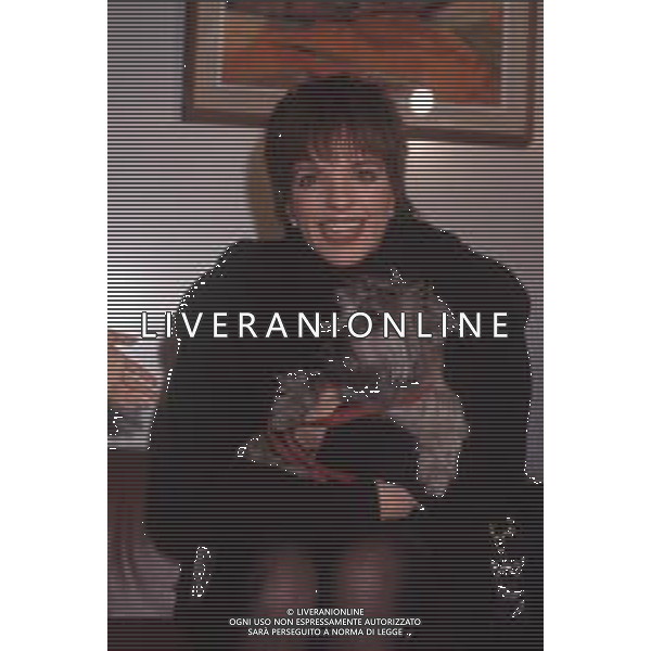 DIAP-RETROSPETTIVA LIZA MINELLI CANTANTE NELLA FOTO LIZA MINELLI A MILANO NELL\'ANNO 1989 AG ALDO LIVERANI SAS