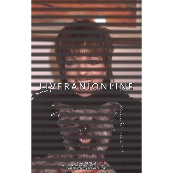 DIAP-RETROSPETTIVA LIZA MINELLI CANTANTE NELLA FOTO LIZA MINELLI A MILANO NELL\'ANNO 1989 AG ALDO LIVERANI SAS
