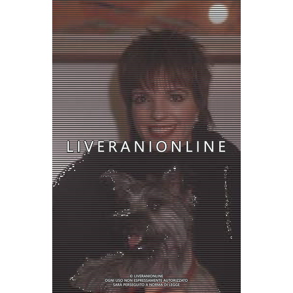 DIAP-RETROSPETTIVA LIZA MINELLI CANTANTE NELLA FOTO LIZA MINELLI A MILANO NELL\'ANNO 1989 AG ALDO LIVERANI SAS