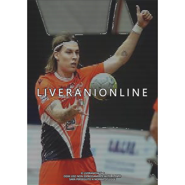 IMOLA 20 10 2025 PALLAMANO ROMAGNA-MONTEPRANDONE 29-14 SERIE A1 SILVER NELLA FOTO ALEX NEMETH PALLAMANO ROMAGNA ©SANNA - AGENZIA ALDO LIVERANI SAS