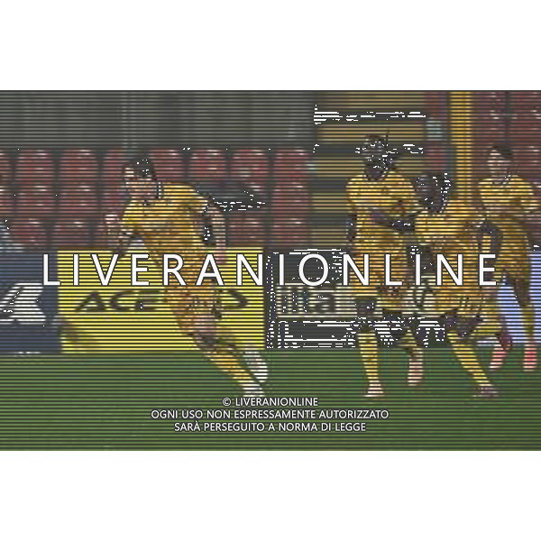 TVRG Cremonese vs Udinese nella foto Nicolò Zaniolo (Udinese) esultanza dopo il gol dell\'1 a 1 Cremona 20-10-2025 Stadio Giovanni Zini Cremonese vs Udinese Campionato Serie A Enilive - 7a giornata foto Roberto Garavaglia/Agenzia Aldo Liverani sas