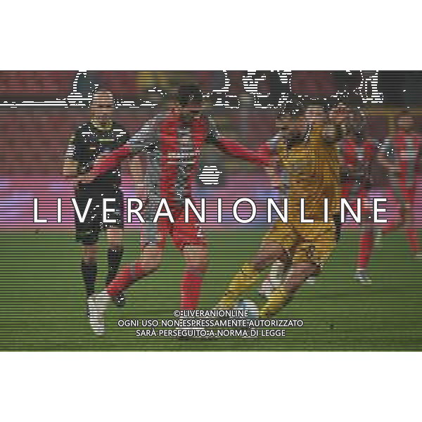TVRG Cremonese vs Udinese nella foto Franco Damian Vazquez (Cremonese) e Jesper Kewe Karlstrom (Udinese) Cremona 20-10-2025 Stadio Giovanni Zini Cremonese vs Udinese Campionato Serie A Enilive - 7a giornata foto Roberto Garavaglia/Agenzia Aldo Liverani sas