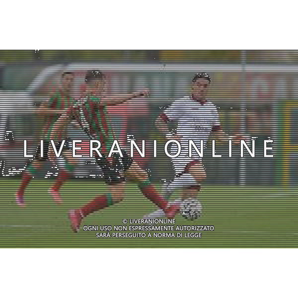 Ternana vs Arezzo Campionato Serie C Sky Wifi - 11 Giornata Libero Liberati - Terni 25-10-2025 nella foto Vallocchia e Pattarello Foto di Federico Gaetano - ag.Aldo Liverani- AGENZIA ALDO LIVERANI SAS