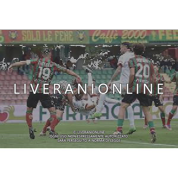 Ternana vs Arezzo Campionato Serie C Sky Wifi - 11 Giornata Libero Liberati - Terni 25-10-2025 nella foto Gol Cianci Foto di Federico Gaetano - ag.Aldo Liverani- AGENZIA ALDO LIVERANI SAS