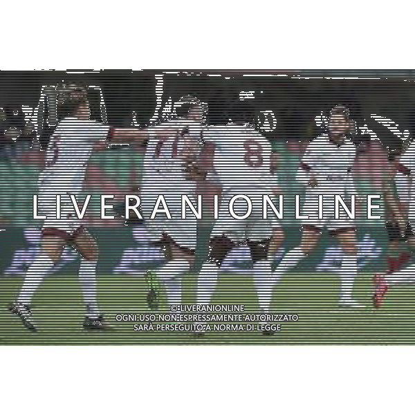 Ternana vs Arezzo Campionato Serie C Sky Wifi - 11 Giornata Libero Liberati - Terni 25-10-2025 nella foto Esultanza Arezzo dopo Gol Cianci Foto di Federico Gaetano - ag.Aldo Liverani- AGENZIA ALDO LIVERANI SAS