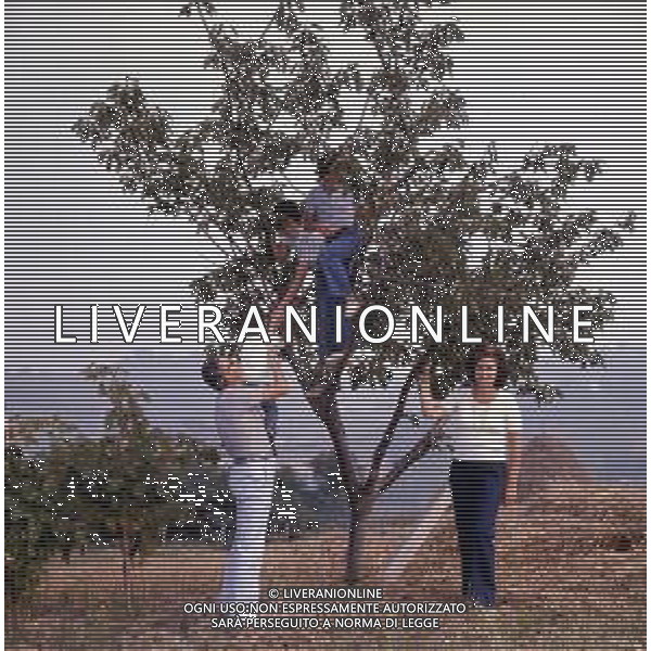 COL-RETROSPETTIVA ARNALDO FORLANI POLITICO DEMOCRAZIA CRISTIANA NELLA FOTO ARNALDO FORLANI POLITICO DEMOCRAZIA CRISTIANA CON LA FAMIGLIA AG ALDO LIVERANI SAS