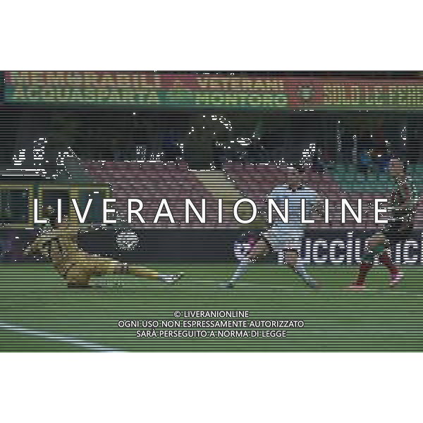 Ternana vs Arezzo Campionato Serie C Sky Wifi - 11 Giornata Libero Liberati - Terni 25-10-2025 nella foto Gol Pattarello annullato Foto di Federico Gaetano - ag.Aldo Liverani- AGENZIA ALDO LIVERANI SAS