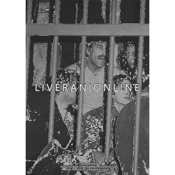 CORRADO ALUNNI NEG- MILANO 1982 PROCESSO A PRIMA LINEA NELLA FOTO IL PROCESSO A PRIMA LINEA E BRIGATE ROSSE A MILANO NELL\'ANNO 1982 AG ALDO LIVERANI SAS