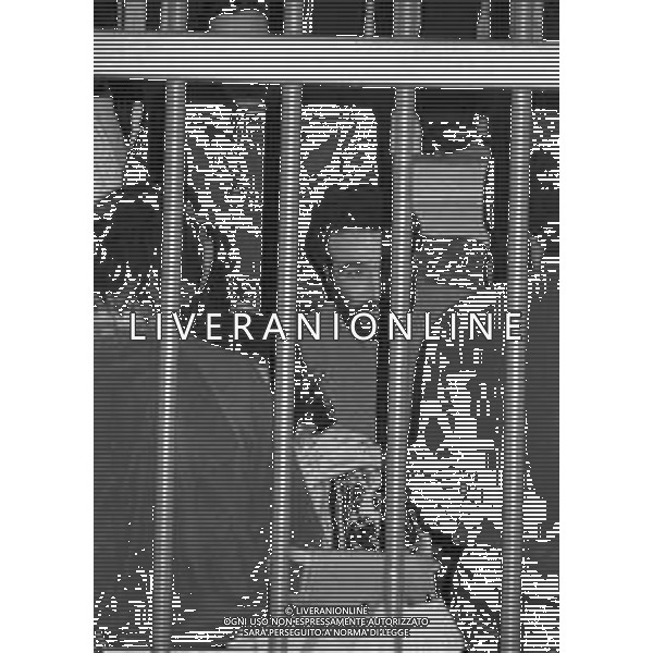 NEG- MILANO 1982 PROCESSO A PRIMA LINEA NELLA FOTO IL PROCESSO A PRIMA LINEA E BRIGATE ROSSE A MILANO NELL\'ANNO 1982 AG ALDO LIVERANI SAS