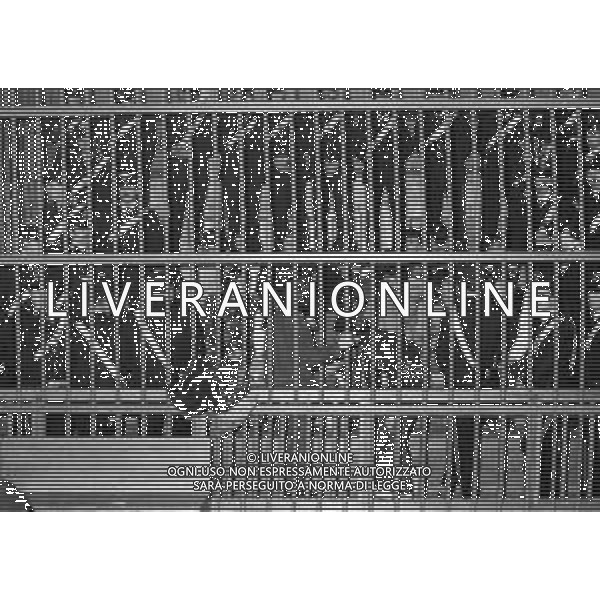 NEG- MILANO 1982 PROCESSO A PRIMA LINEA NELLA FOTO IL PROCESSO A PRIMA LINEA E BRIGATE ROSSE A MILANO NELL\'ANNO 1982 AG ALDO LIVERANI SAS