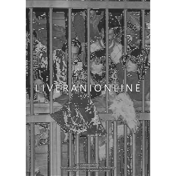 NEG- MILANO 1982 PROCESSO A PRIMA LINEA NELLA FOTO IL PROCESSO A PRIMA LINEA E BRIGATE ROSSE A MILANO NELL\'ANNO 1982 AG ALDO LIVERANI SAS