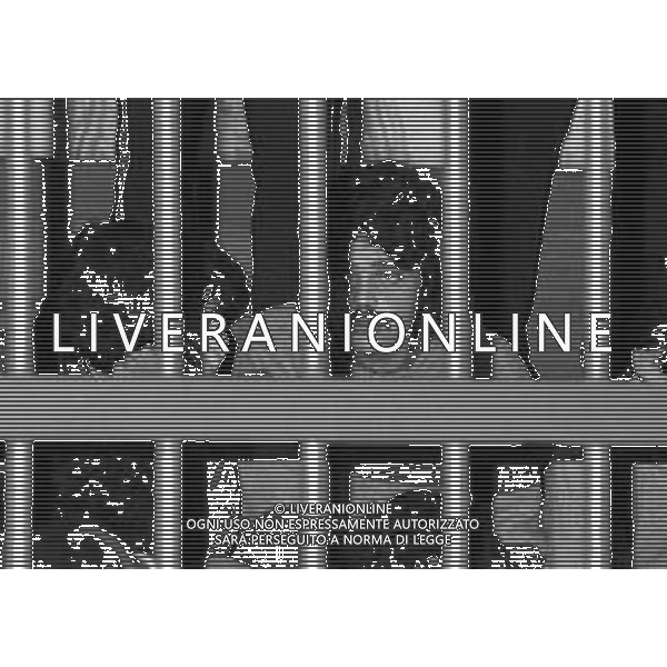 NEG- MILANO 1982 PROCESSO A PRIMA LINEA NELLA FOTO IL PROCESSO A PRIMA LINEA E BRIGATE ROSSE A MILANO NELL\'ANNO 1982 AG ALDO LIVERANI SAS