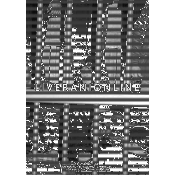 NEG- MILANO 1982 PROCESSO A PRIMA LINEA NELLA FOTO IL PROCESSO A PRIMA LINEA E BRIGATE ROSSE A MILANO NELL\'ANNO 1982 AG ALDO LIVERANI SAS