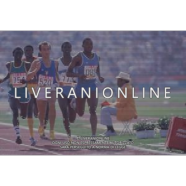 DIAP-RETROSPETTIVA DONATO SABIA ATLETA NELLA FOTO DONATO SABIA NELL\'ANNO 1984 AG ALDO LIVERANI SAS