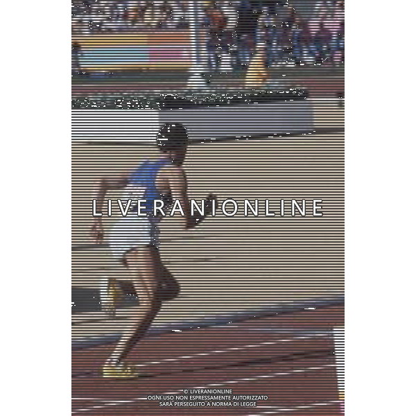 DIAP-RETROSPETTIVA DONATO SABIA ATLETA NELLA FOTO DONATO SABIA NELL\'ANNO 1984 AG ALDO LIVERANI SAS