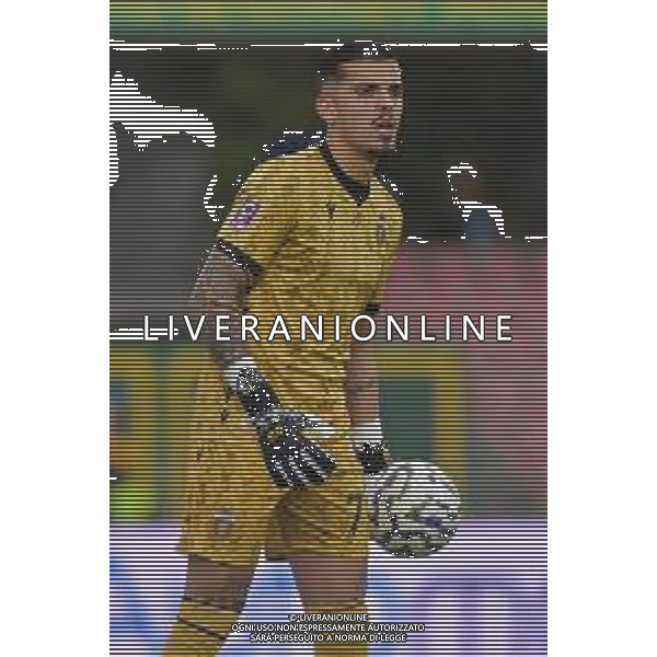 Ternana vs Arezzo Campionato Serie C Sky Wifi - 11 Giornata Libero Liberati - Terni 25-10-2025 nella foto Francesco D\'Alterio Foto di Federico Gaetano - ag.Aldo Liverani