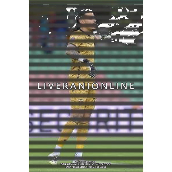 Ternana vs Arezzo Campionato Serie C Sky Wifi - 11 Giornata Libero Liberati - Terni 25-10-2025 nella foto Francesco D\'Alterio Foto di Federico Gaetano - ag.Aldo Liverani