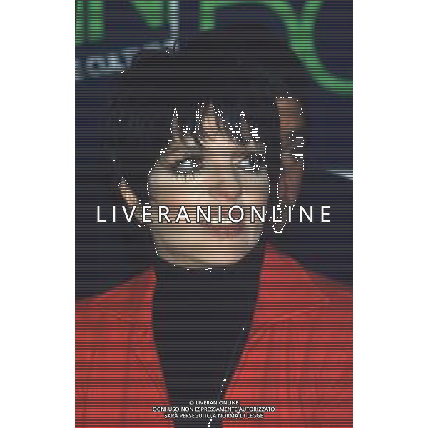 DIAP-RETROSPETTIVA LIZA MINELLI CANTANTE NELLA FOTO LIZA MINELLI A MILANO NELL\'ANNO 1982 AG ALDO LIVERANI SAS