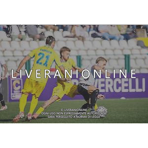 26-10-2025 VERCELLI-CAMPIONATO DI LEGA PRO PRO VERCELLI-PERGOLETTESE NELLA FOTO Iotti (ProVercelli) vs Tomaselli (Pergocrema) FOTO ANDREA MARANGON-AG ALDO LIVERANI SAS