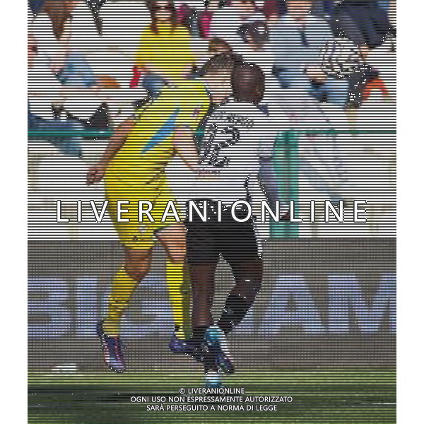 26-10-2025 VERCELLI-CAMPIONATO DI LEGA PRO PRO VERCELLI-PERGOLETTESE NELLA FOTO Contrasto aereo su Agra Akpro FOTO ANDREA MARANGON-AG ALDO LIVERANI SAS